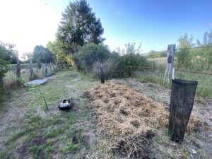 IMG_4426 web